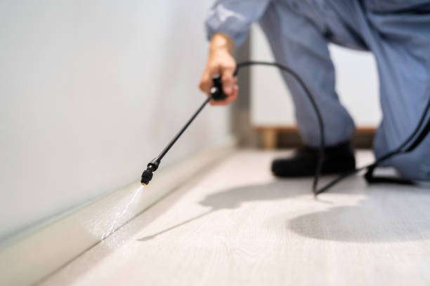 Licensed Pest Control service in Cascade-Chipita Park, CO - Show Me Pest Control
