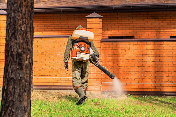 Bed Bug Clearance Verification and Documentation in Cascade-Chipita Park